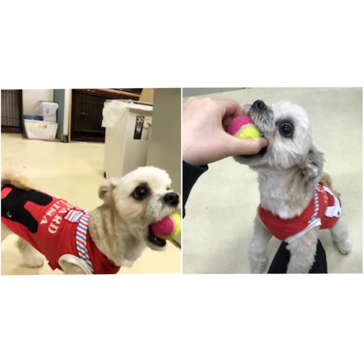 822cd987 725a 43c8 9189 81fbef89e27b 1550657198250