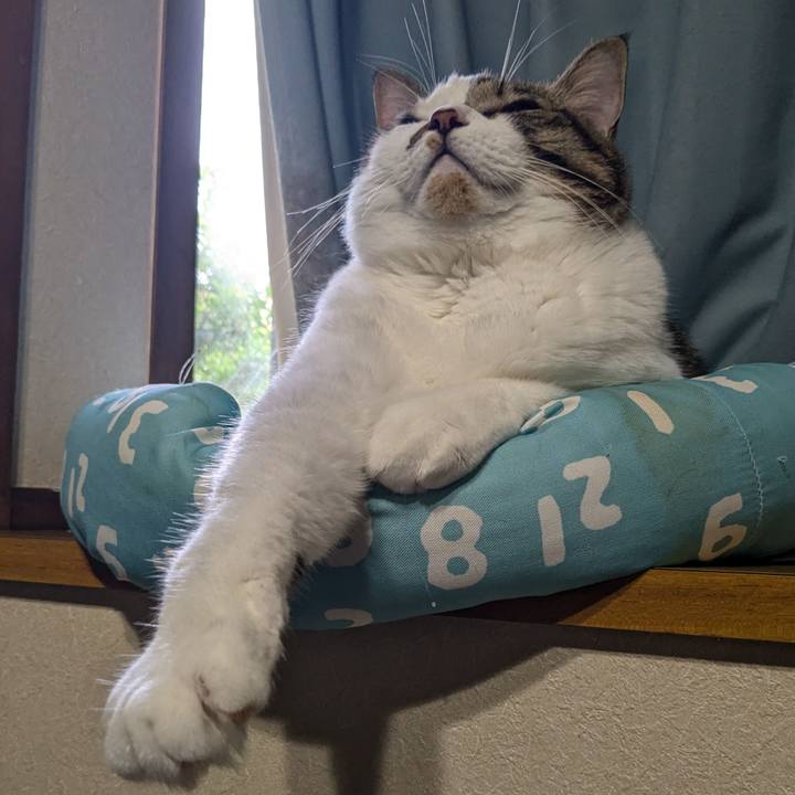 822d0a7f b747 4586 bd20 8a8c3956d996 1729897290365