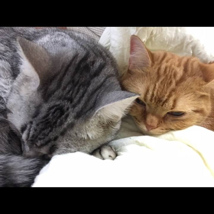 822d27b3 b38d 4cad a131 922ad4fcf0f9 1512944594251