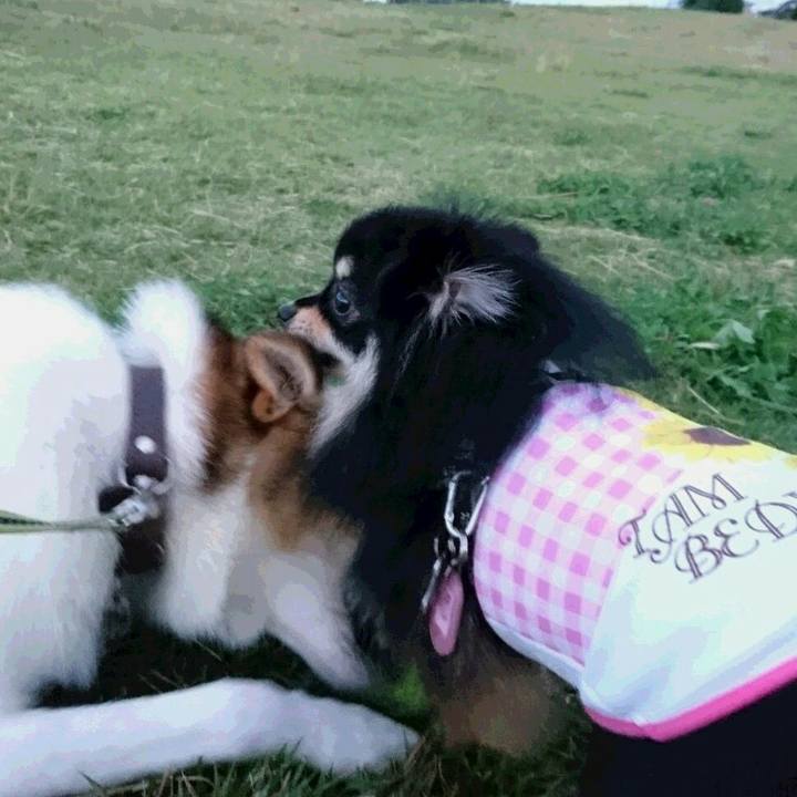 822d2f40 ed84 4d69 91ce 18f98b9b711d 1507871661047