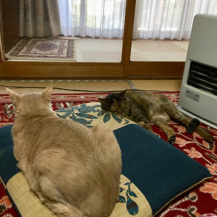 822d46c4 4b02 434a aea2 cd849b4dc44e 1588835880189