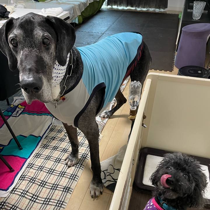 822d502b 897e 4114 91b2 8fb2b538a9c6 1657838563316