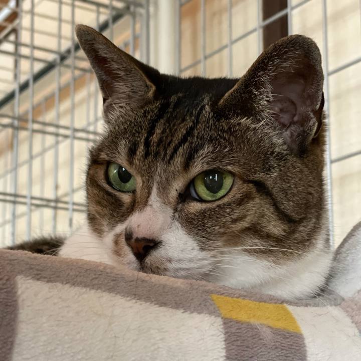 822d5059 f422 469b 9205 30a3f1599eab 1625104106166