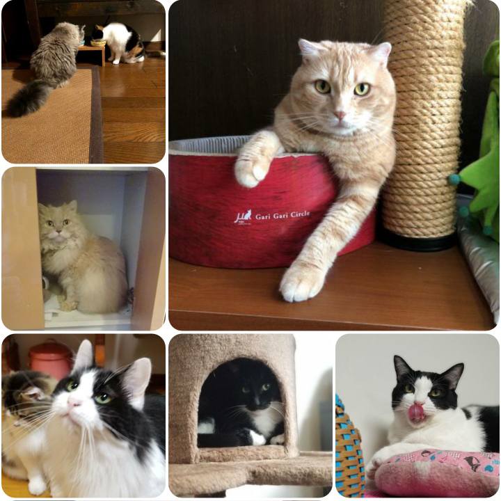 822d582e f143 4ea1 89d1 86bbce5dbc07 1568797652082