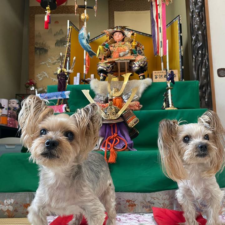 822d77f1 783e 4df7 bcdb 6ef674a2b678 1651745714944