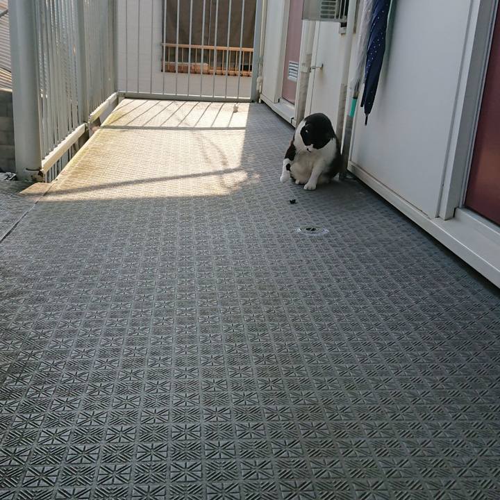 822d9a83 3395 4514 9f9d d127a9e5ca6e 1568093777803