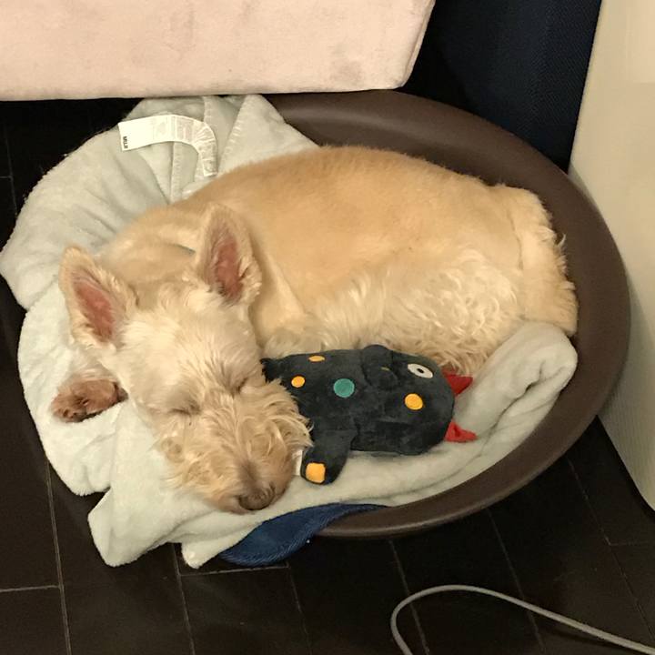 822d9f67 b0be 43e1 9e6c d46cb6c0e243 1535034820102