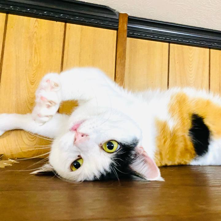 822da09a b23e 44b3 9b98 f7b0ff01a9f9 1718316234520