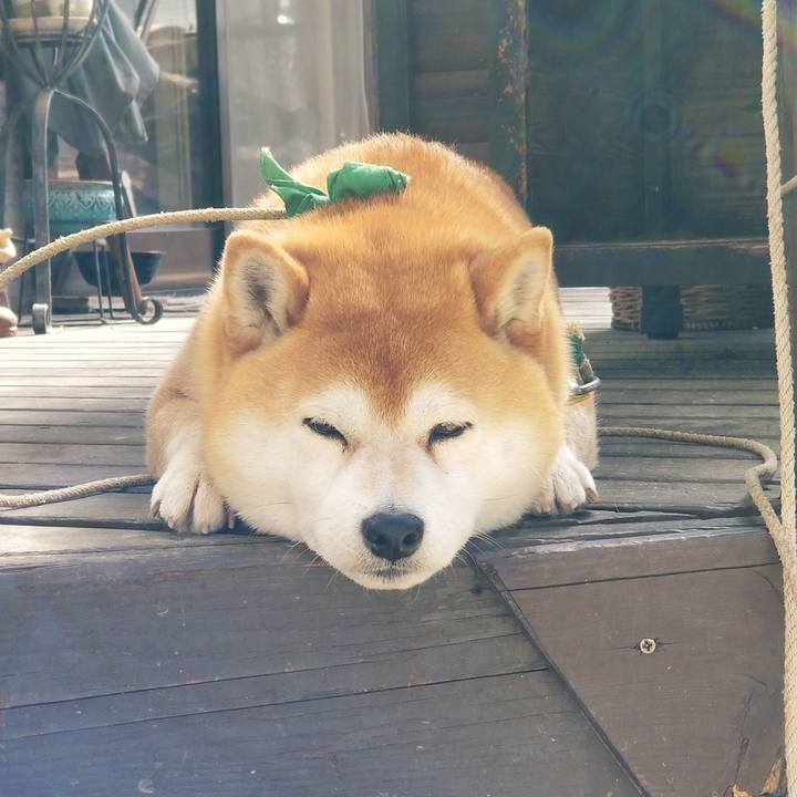 822dba8c f305 4eec bed5 49f729ae98f6 1555717384337