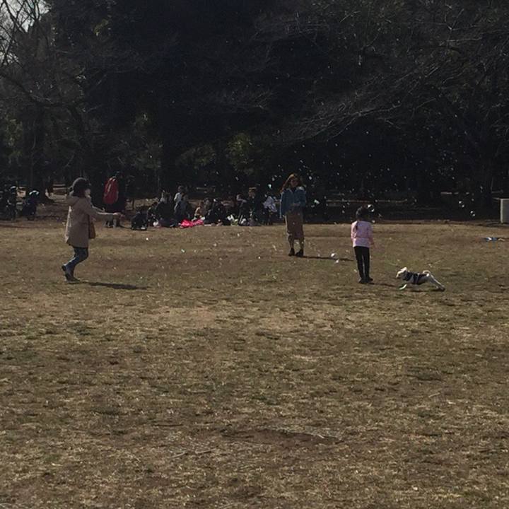 822dd0be dcf7 4690 9ab2 55fed6cb9542 1520067527527