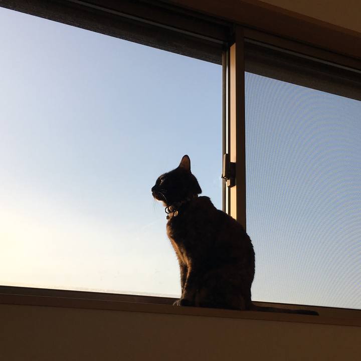 822e3ac1 3c7a 4b24 aed0 33382e6c6e19 1514610538189