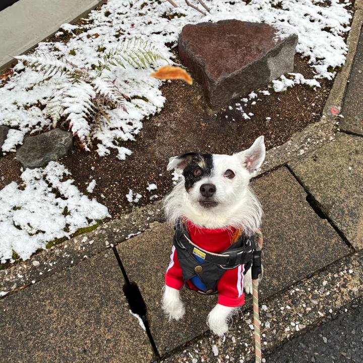 822e553b 068c 4d7a 86c9 e51488973e52 1770508565636