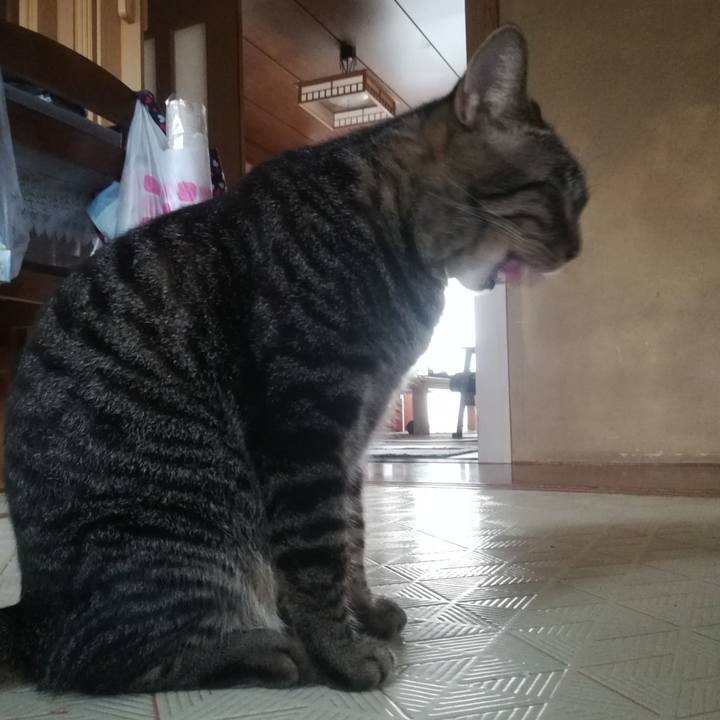 822e6ab7 b3c5 4942 a92d a63cdcf4aa6b 1536899315447