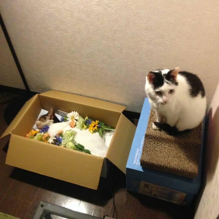 822e6d18 9923 4638 b5a9 f32def3c4de2 1595547413235