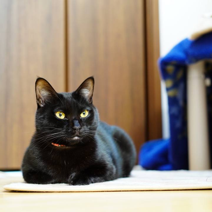 822e70a3 87eb 4c06 91d0 e611d23d2458 1576934811912