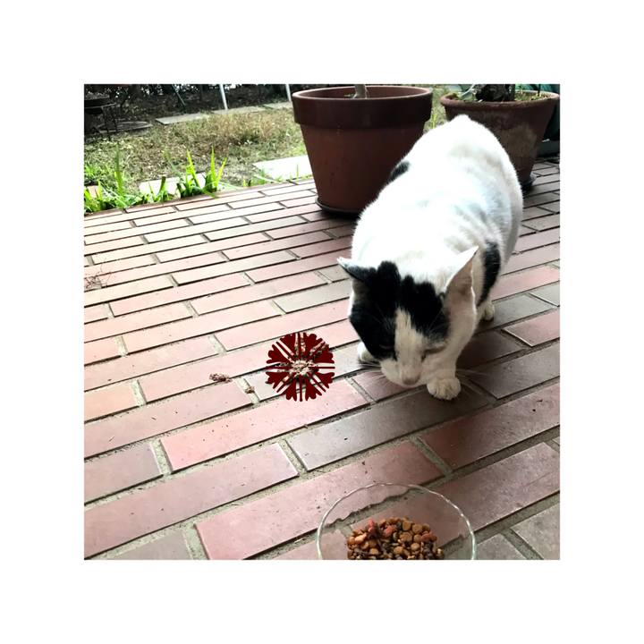 822e89c1 7ea5 4490 811f 2189554e402a 1639896612213