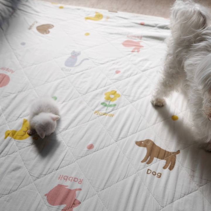 822eeb96 d8c7 4530 bc71 9a09b5b9f4c3 1666826041618