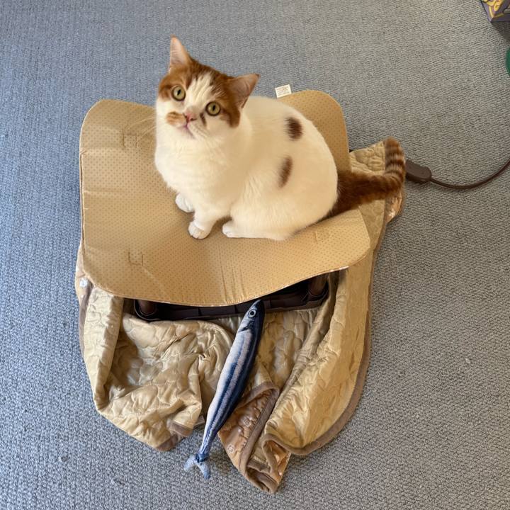 822efb7a 8854 4c66 923e fbb001389173 1768005655292