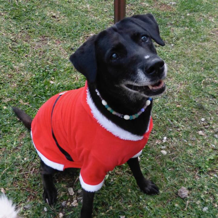 822f1c32 0653 4f85 bcce b10207408c24 1640304999648