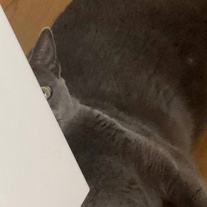 822f2e4e 609f 428e a9a2 d46f0fc611af 1576109034644