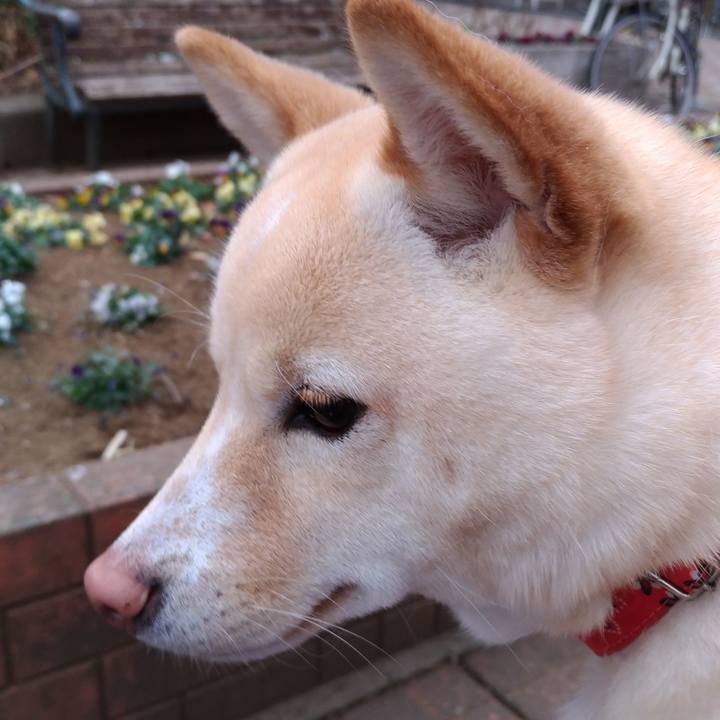 822f681c 8639 4dcd ae12 f540c9553a75 1518356339893