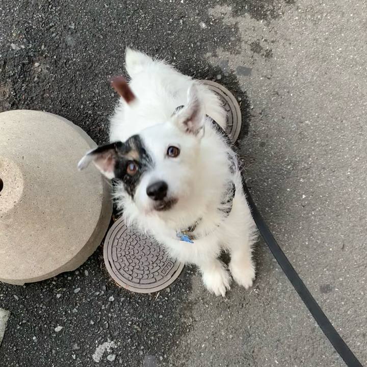 822f739a 3cbe 48eb ae81 e638fa46930a 1726992372773