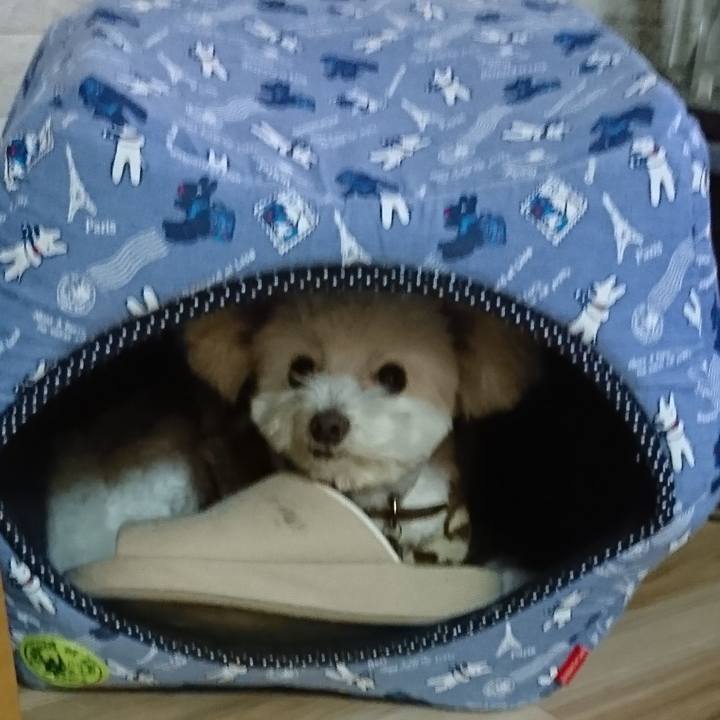 822f7bf4 78f5 4992 9b0a e0e1e6279d9e 1574419758721