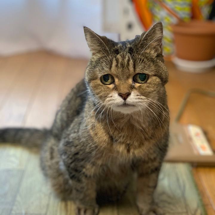 822f9e89 d848 45e6 bbe4 507bb1fff8fe 1602393490874