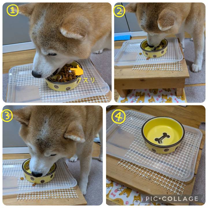 822fe72e e05a 4b17 b2c8 77a47a99d7dd 1760614711953