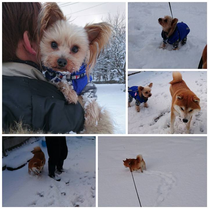 8230198c 07ae 400a aca6 3cbd87351e5e 1517745497227