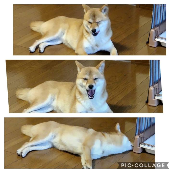 823034c0 1e96 4e73 bcf2 a125cae8716a 1650755693442