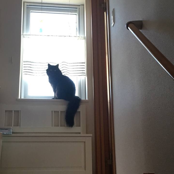 82304174 6bdd 48f9 97c5 d1c82f6d631b 1532136497040