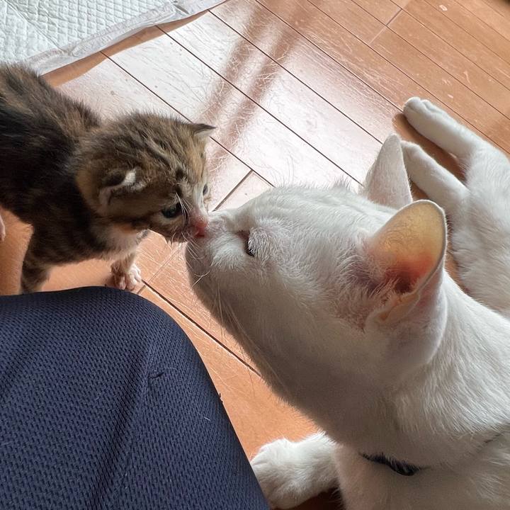 823044b8 d104 4786 b5b8 789b20ef760f 1689997071112