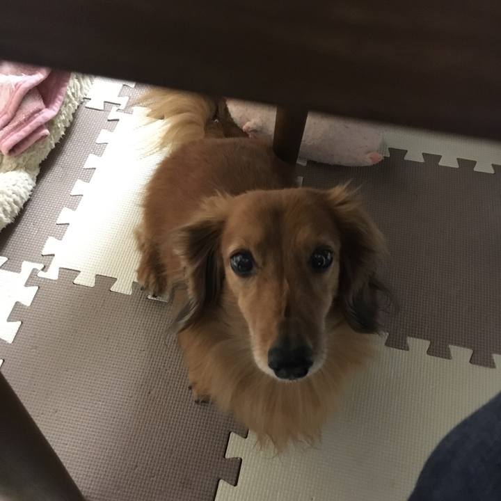 82305681 7974 44e0 89b8 22e200bd961d 1551015740659