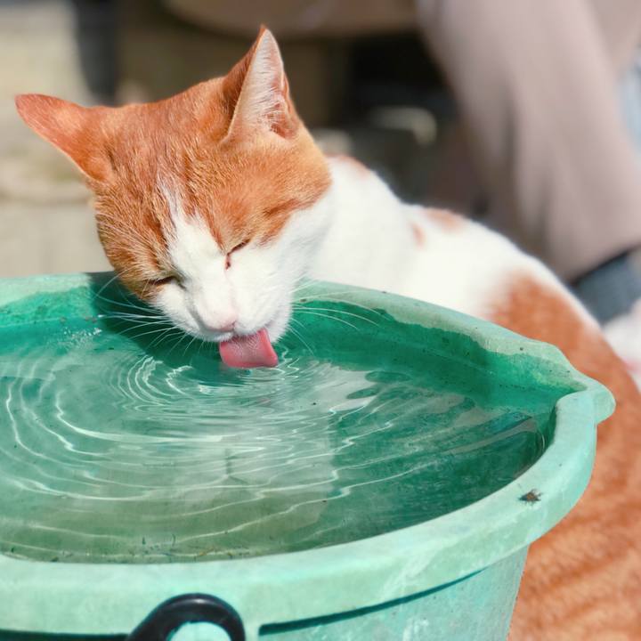 823067fe 99e1 45bd aa71 9bb3344456d4 1509688837625