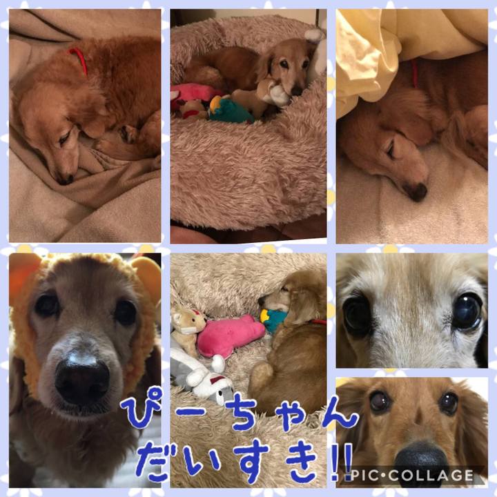 82306975 f718 44b0 ad21 118d768518c5 1524348445658