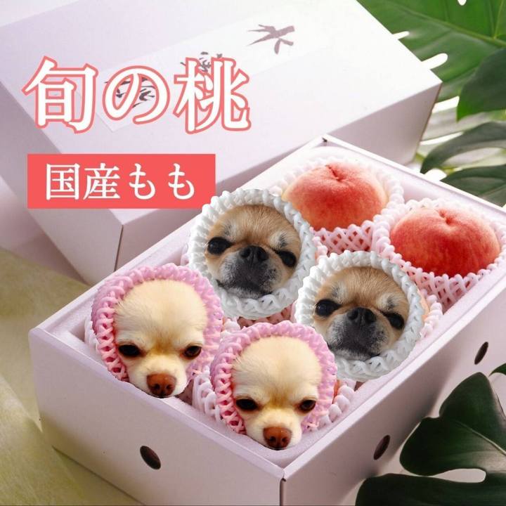 82308fce 5947 4240 8586 c979fa1f91a6 1691669618533