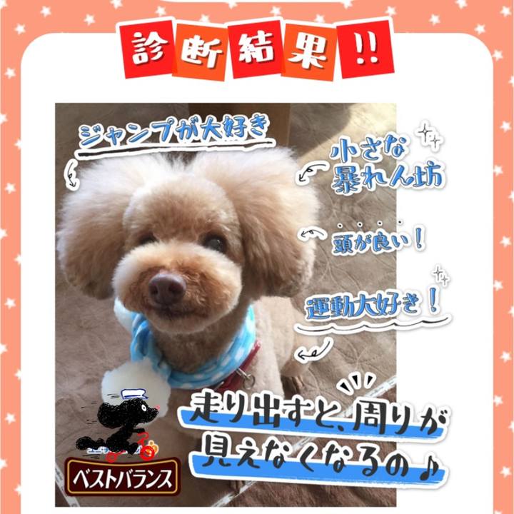 8230a0e0 4084 4d36 9333 611fd39cf85f 1541888781020