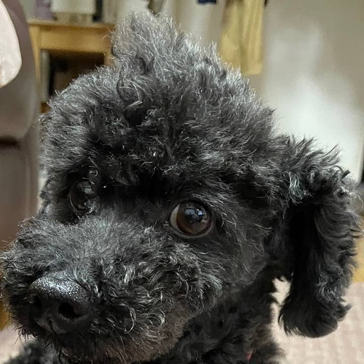 8230d1c6 7316 4164 8ae9 9a5ffac150cb 1686390558164