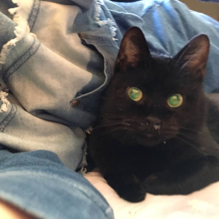 82311171 0cb0 4684 93d1 2387863a60e9 1570542335612