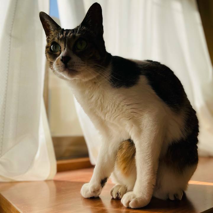 82312cb9 160f 42c6 b0c5 e41c030da02c 1614217020395