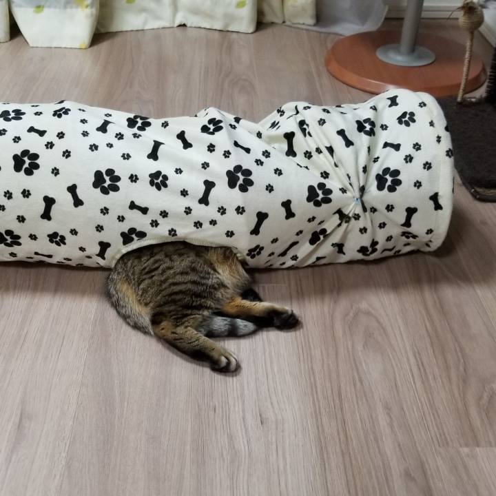 82316a55 31c6 42f8 82d0 b0bd8ac3fd91 1552212844860