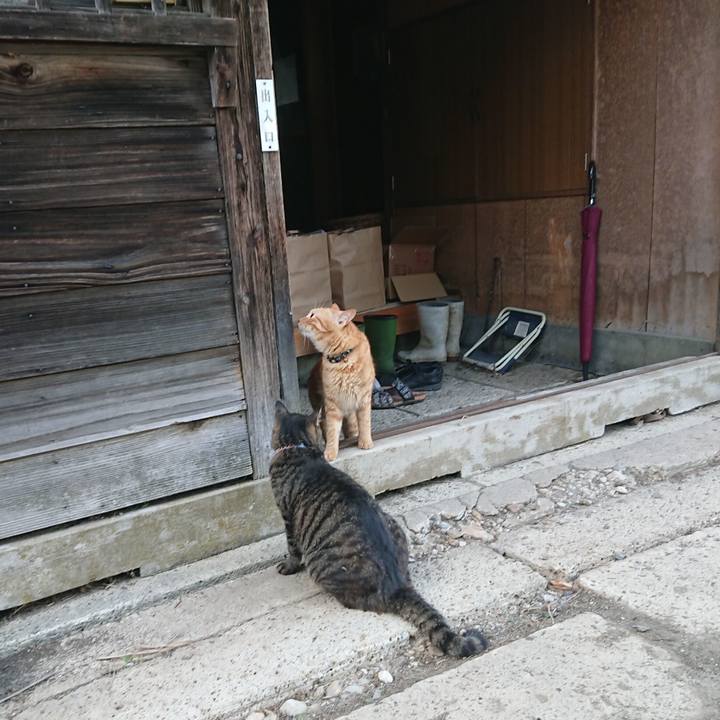 823191e7 4250 403b ac87 67dd68b3a7b1 1660380586782