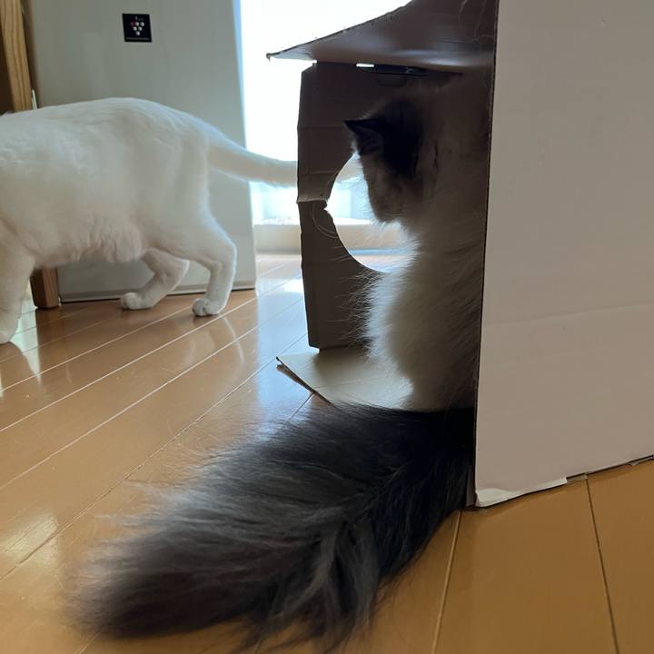 8231cdce 16f2 4406 a6ce a03d99a0e1ce 1693020838545