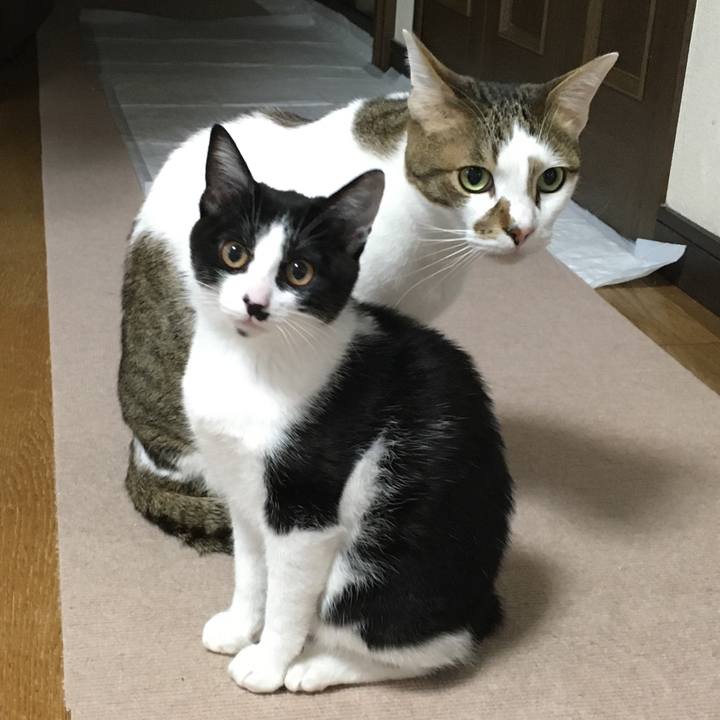 82321803 ec5a 4864 9b8e f8c6f7b51bbf 1578459414820