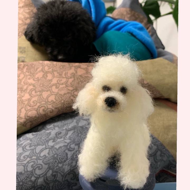 82322492 6196 433a 839a 948dd50f2b2a 1546513375564