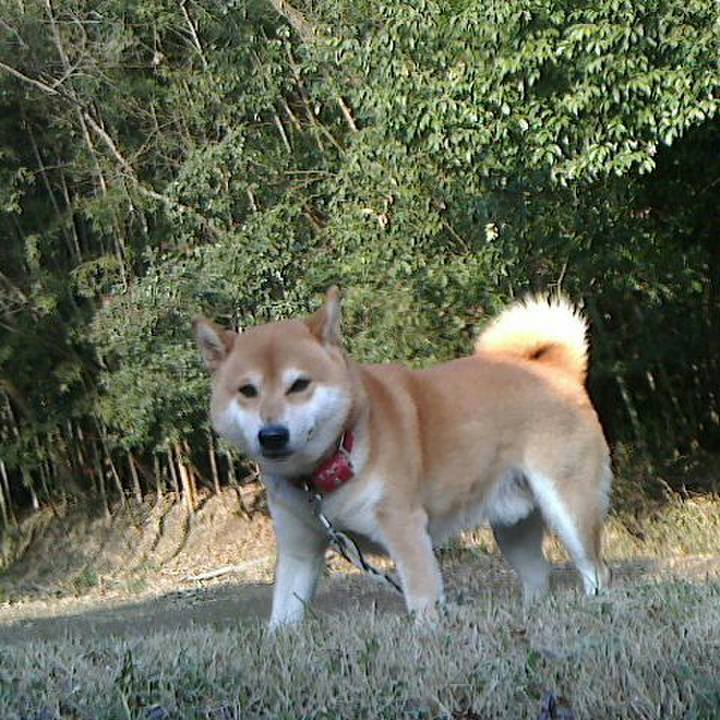 82326597 071d 498e a411 763f75188454 1516710566636