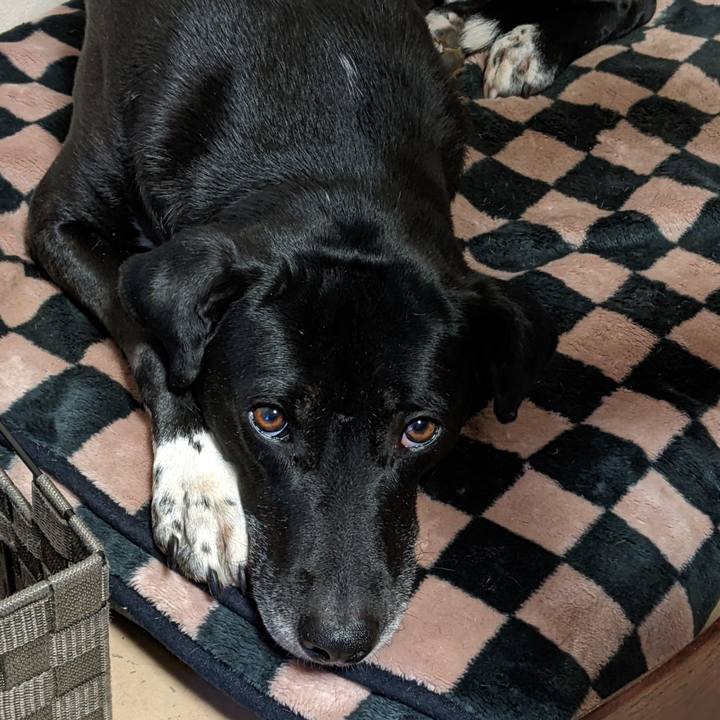 82327520 7abf 4518 bc90 2157ae60c93c 1645665935539