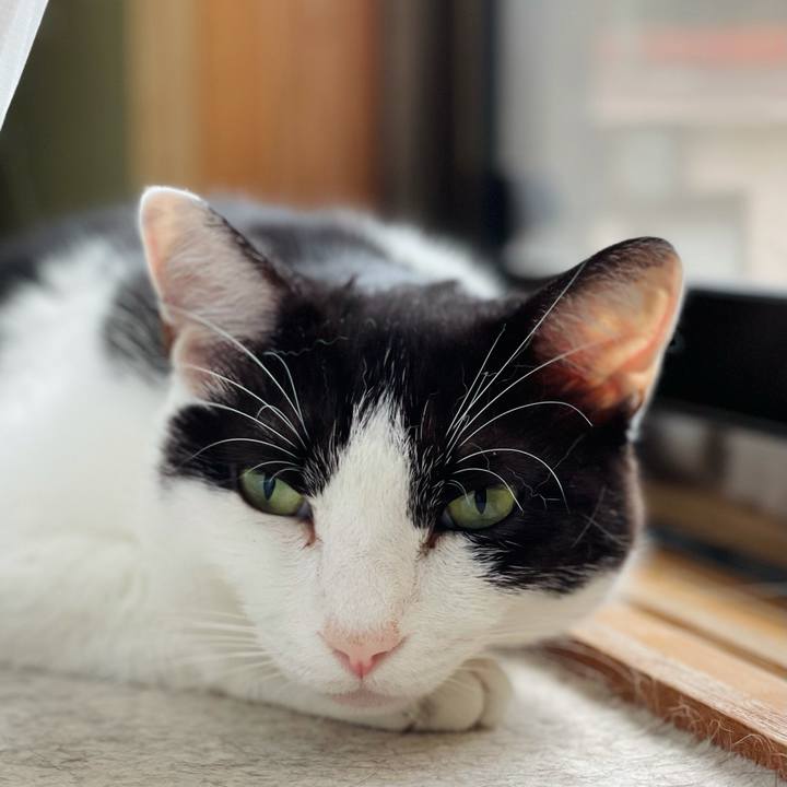 8232b2ff 3975 4073 9498 3b3a5d2cb952 1628907120146