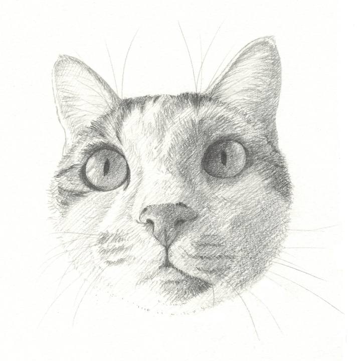 8233165f d9a3 4e09 99ee bc6732fd4302 1541077580941